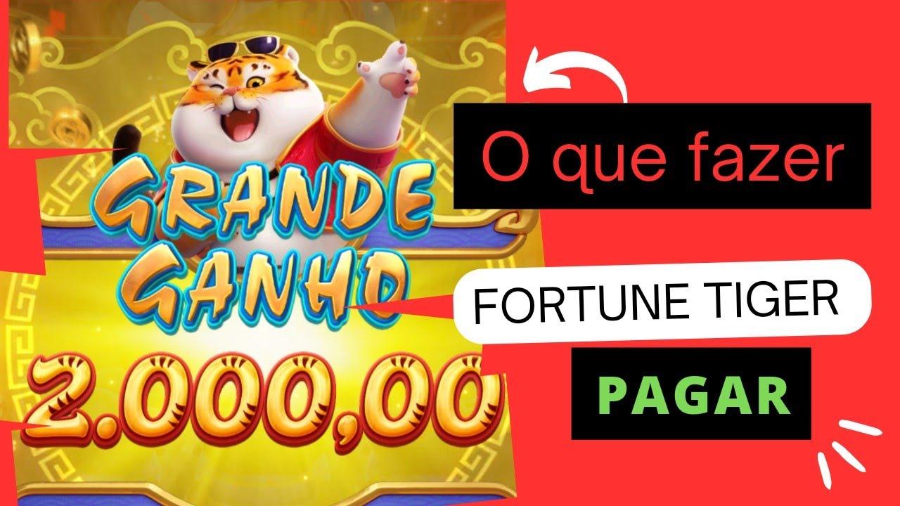 TESTEI A MELHOR PLATAFORMA PARA JOGAR FORTUNE TIGER E OUTROS JOGOS DE SLOTS