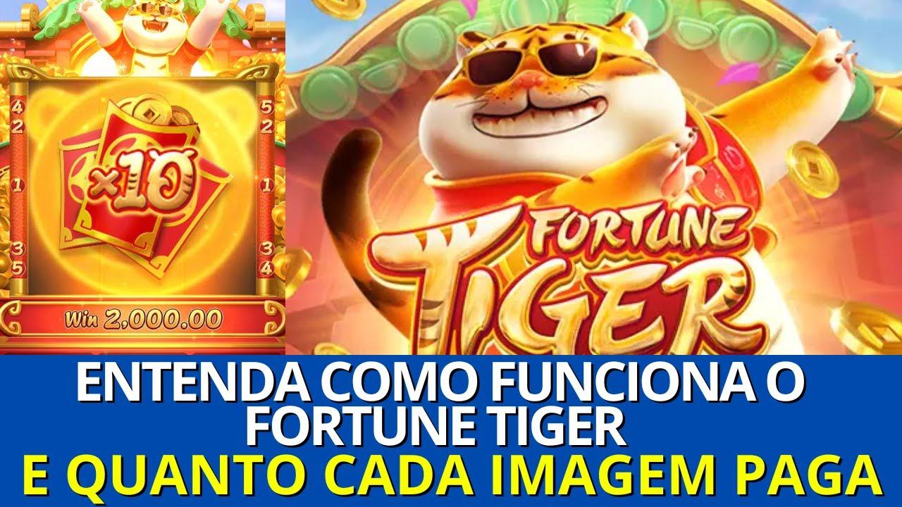 Como Jogar Fortune Tiger no Estrela Bet? - Finance News