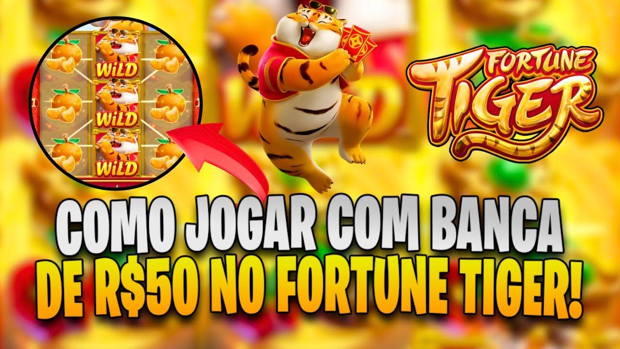 jogar video bingo gratis